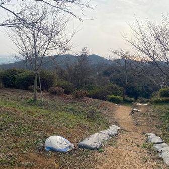 日の出鑑賞ポイント。
なんか当時はコッチから登ってきたような…。
下りはコッチのルートを使おう。