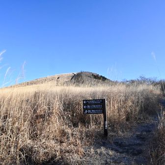 あの鉄砲木ノ頭（明神山）の頂上までは15分。