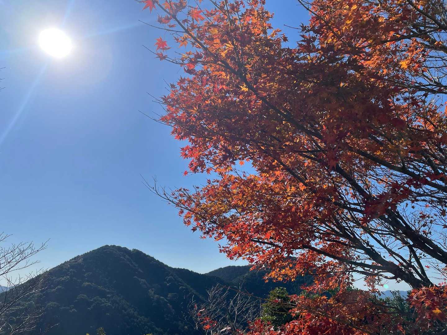 愛宕山入口-舟見岳-舟見岳入口-交蔓山-片城山-飯盛山 周回コースの写真