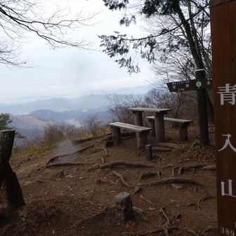 青入山山頂