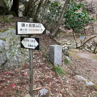 右から帰ってきたよん