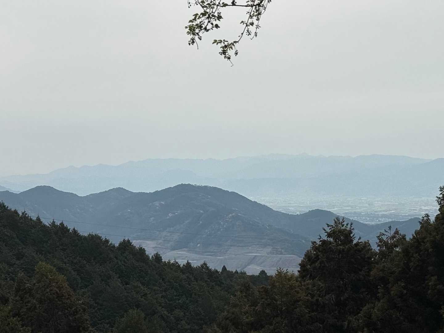 大平山が見えるポイント⛰️
桜も咲き乱れてるけど
写真じゃ伝わらないよねー🥲