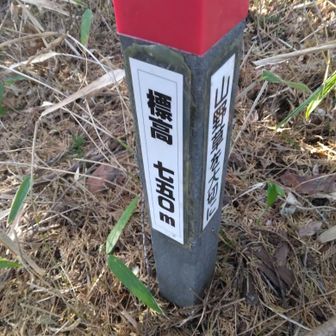 標高750m、現在地、私の登山力、冬の低山、好きだしこれくらいでいい、歩き続けるのが第一