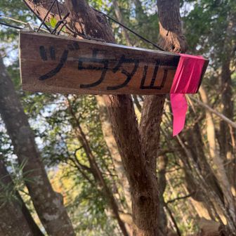 ゾウタ山看板