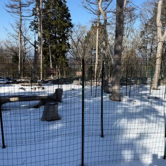 森林再生、全国に広まりますように🌳
