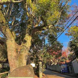 踏切を渡ると天王山への入口