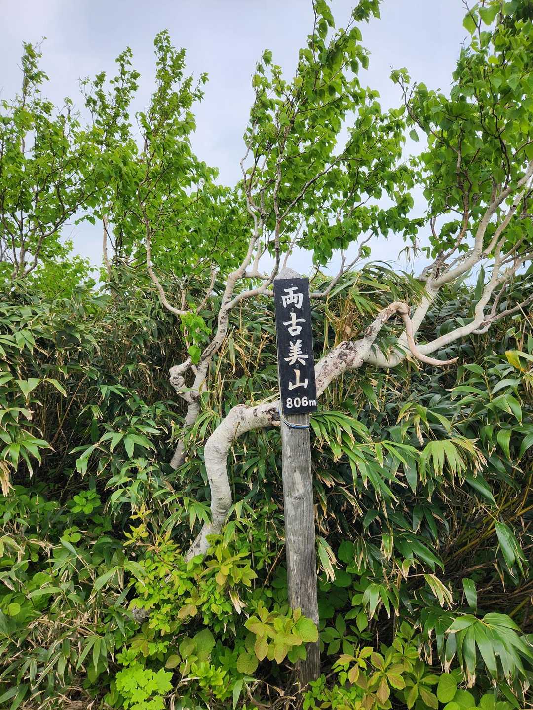 両古美山到着＼(^-^)／