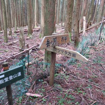 笹峠に着きました。頂上までもう少しです。
