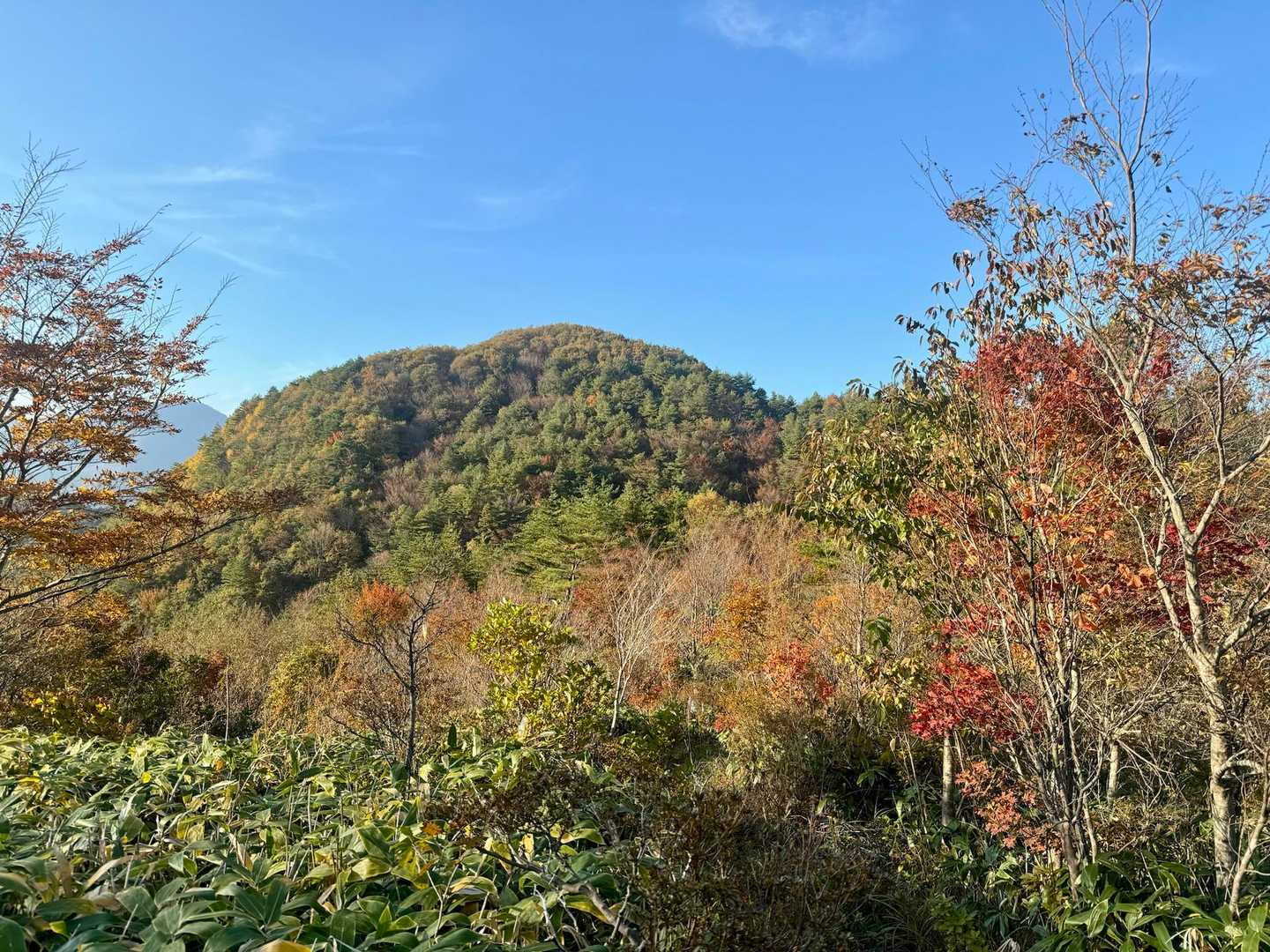 振り返って胡桃ヶ岳