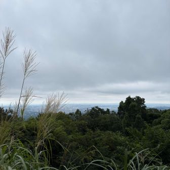 ちょっと秋めいてきたなぁ