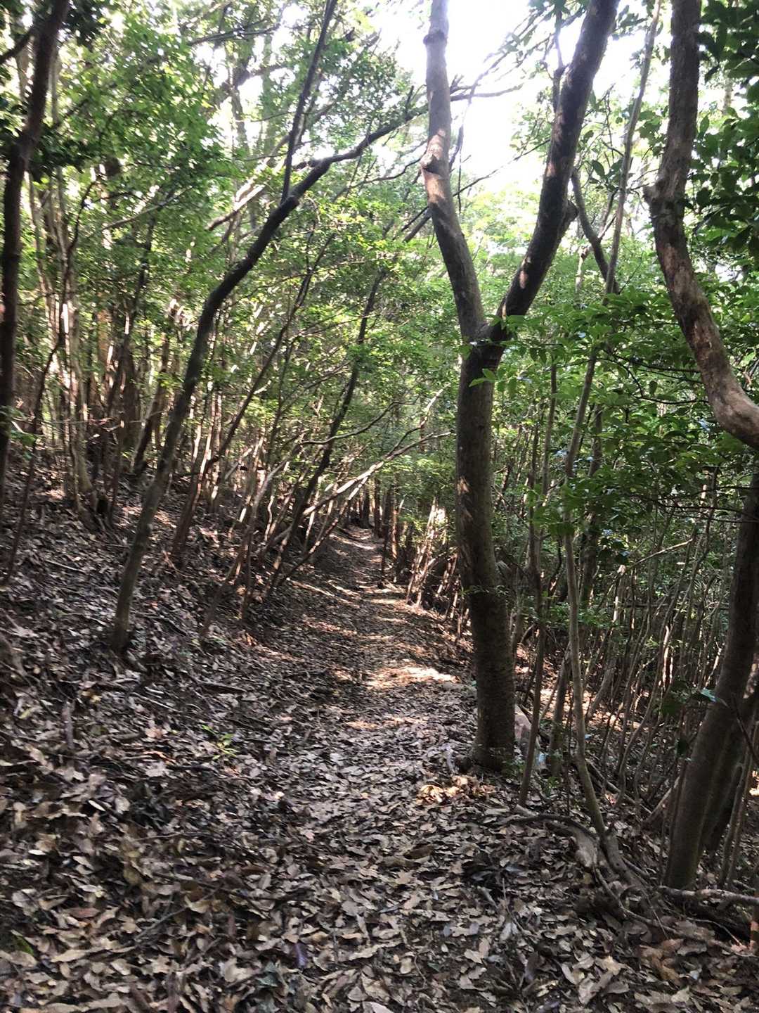激下の後は幸せロード