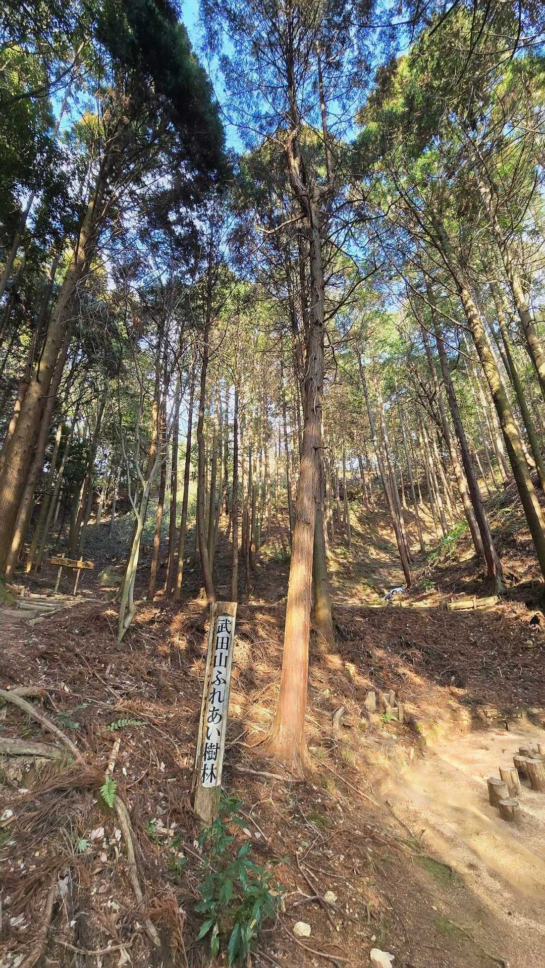 ここは｢武田山ふれあい樹林｣😃
イベントホールとして使っておる😄
