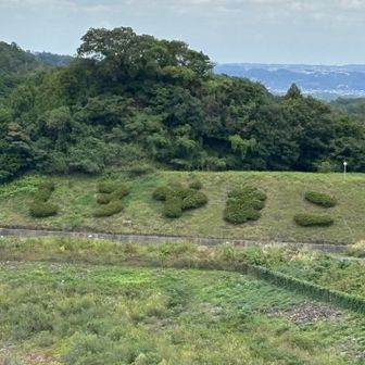 と思ったら
城山湖の掲示物を見ると
発電の為に造られた人造湖でした！

お隣の津久井湖との落差を利用して
揚水発電を行っているそうです🧐

ここには沢山のBIRDERさんが
カメラや双眼鏡を持って待機していました🐦‍⬛