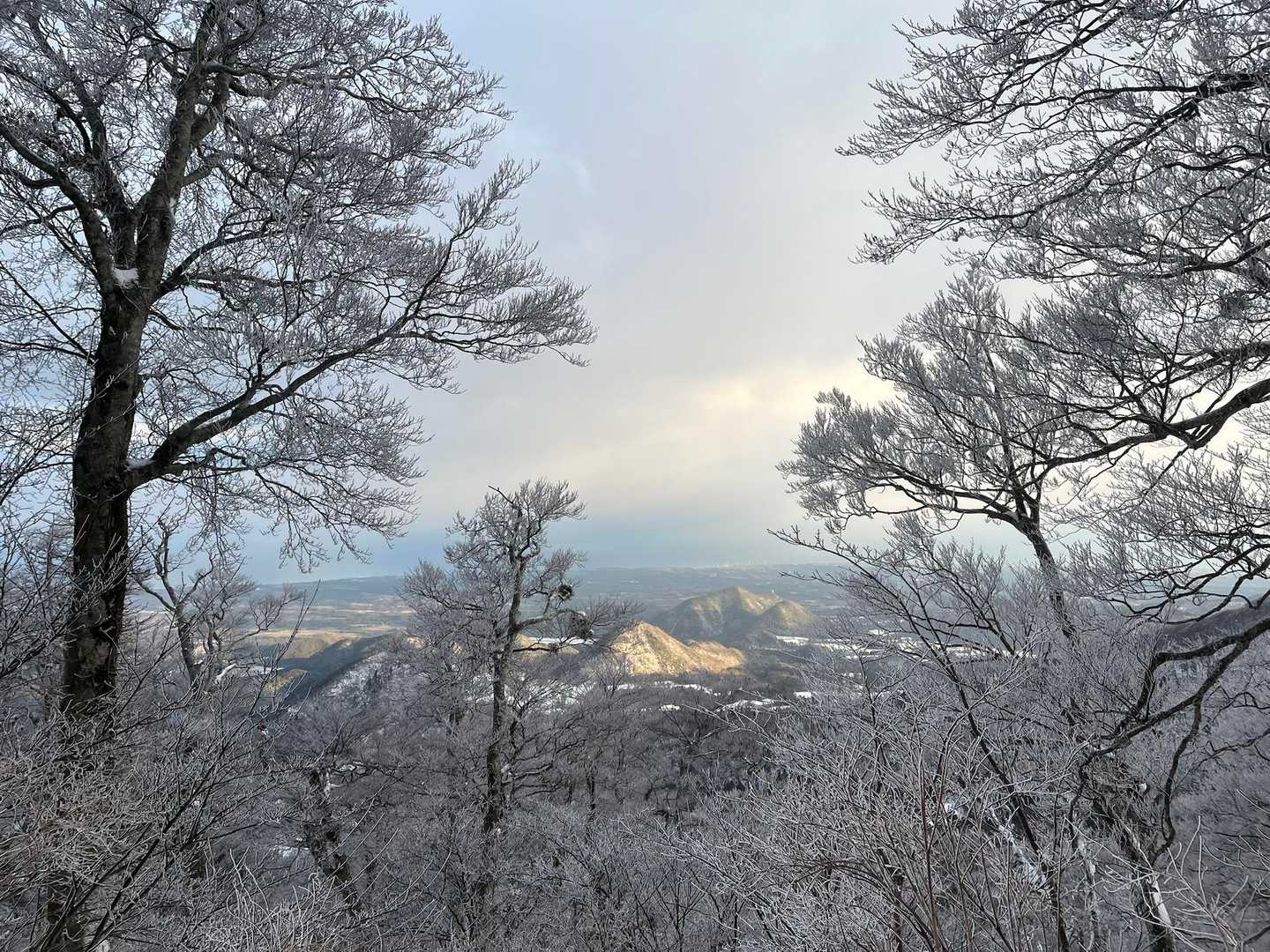 少しずつ雲行き、、、