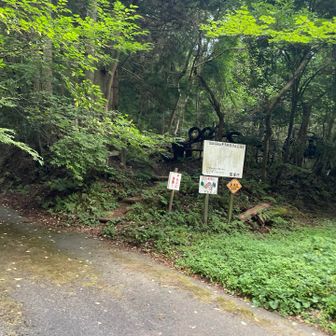 保井野登山口