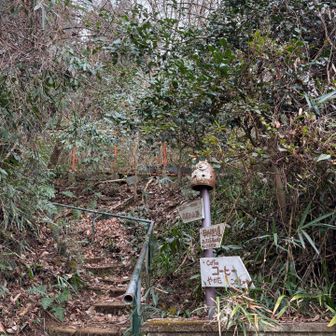 高尾駅の人混み気圧されて、こちらからスタートします。