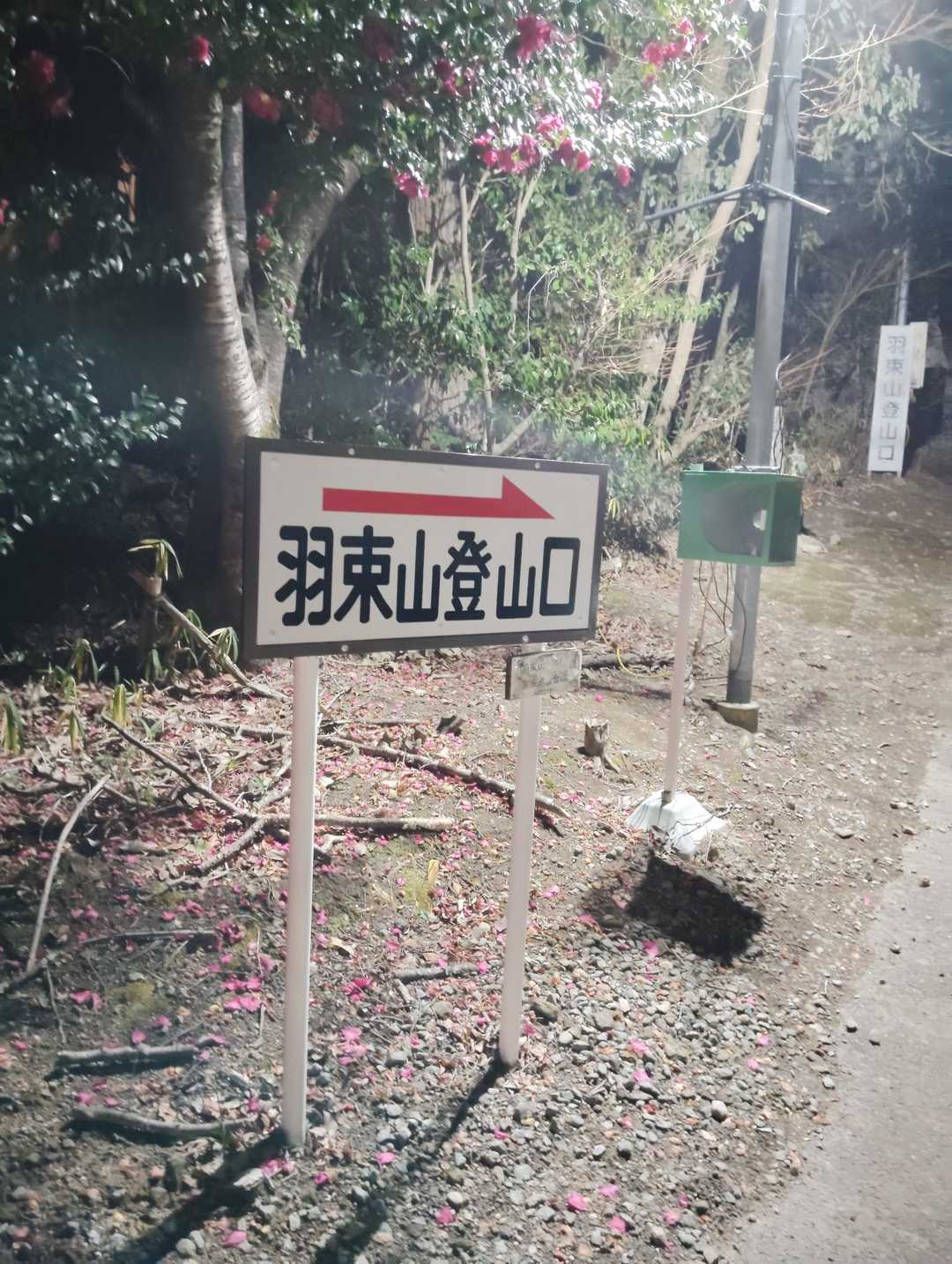 登山口はライトで明るいです