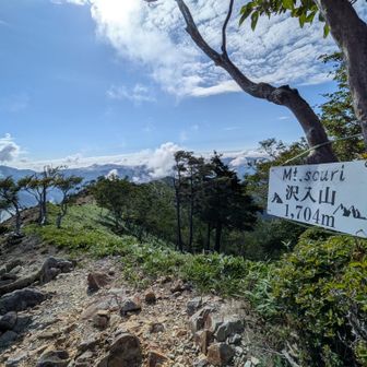 そして間もなく沢入山到着✨️
相変わらず雰囲気バツグンの稜線だ👍️