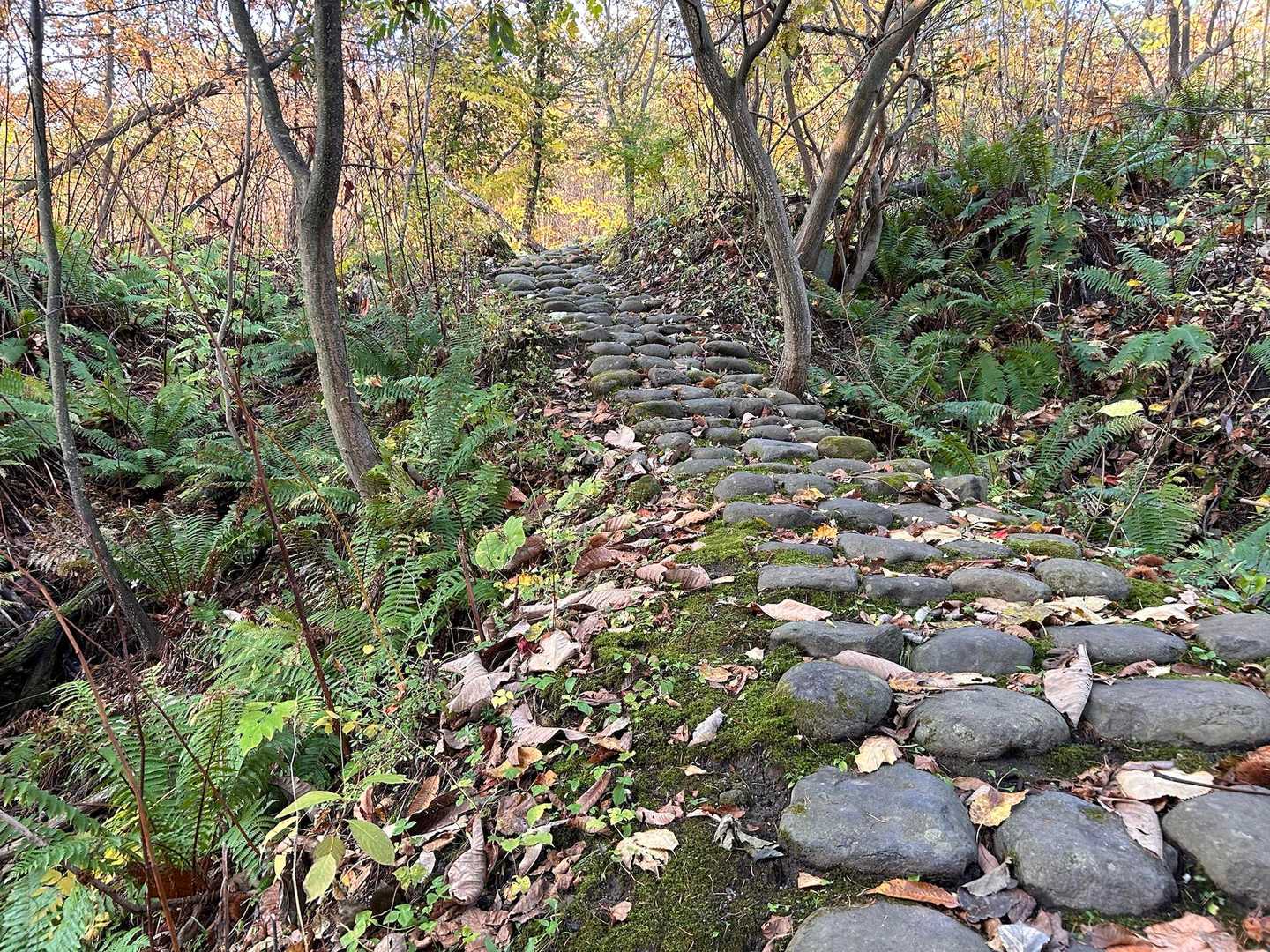 これだけの石🪨を揃えるのと並べるのと
大変だったろうなぁ🤔