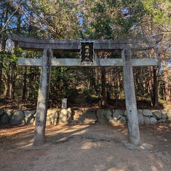 今年一年、有難う御座いました。