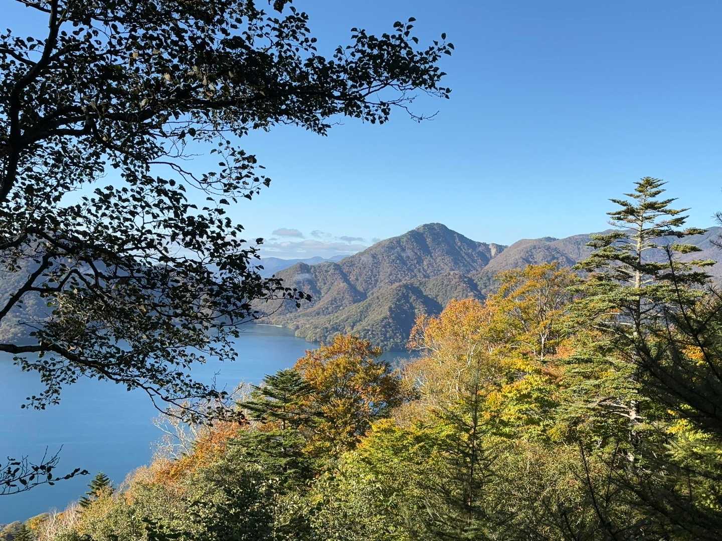 大好きな社山⛰️