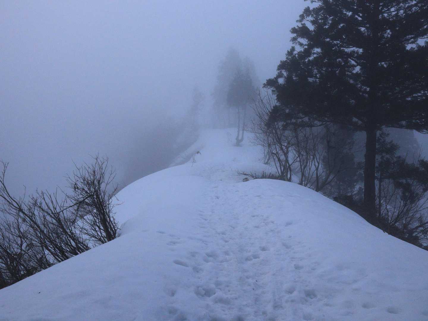 数日前から雨雲レーダーをチェックし、新潟県内が良い天気☀️だと確信してきたのに…😭