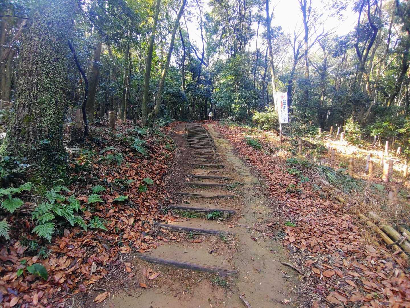 ひたすら階段を進み…
１人の男性と出逢いました
毎日ここを登られているそうです😊✨
(撮影許可済み)