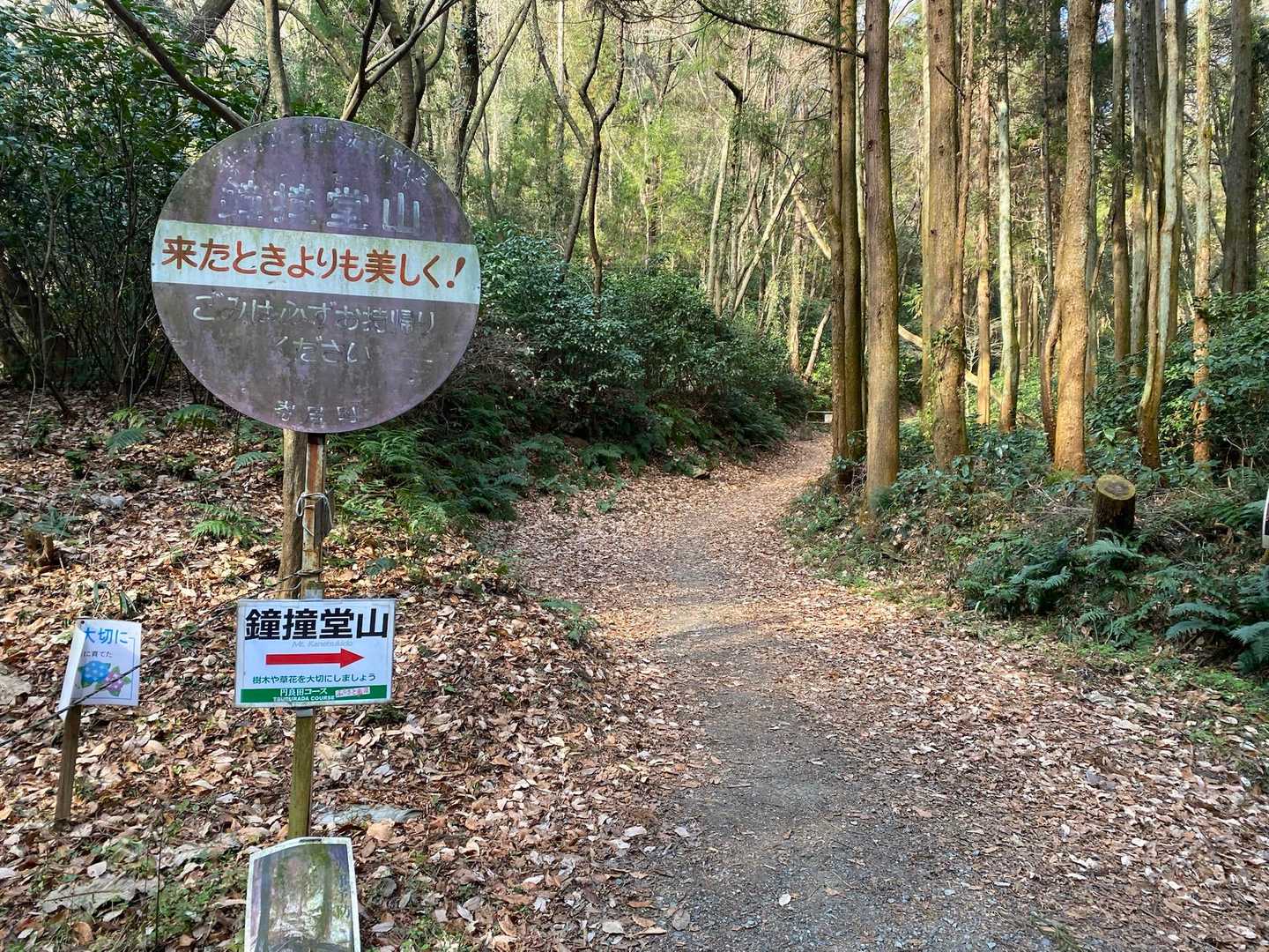 下山の道は作業道のようでした