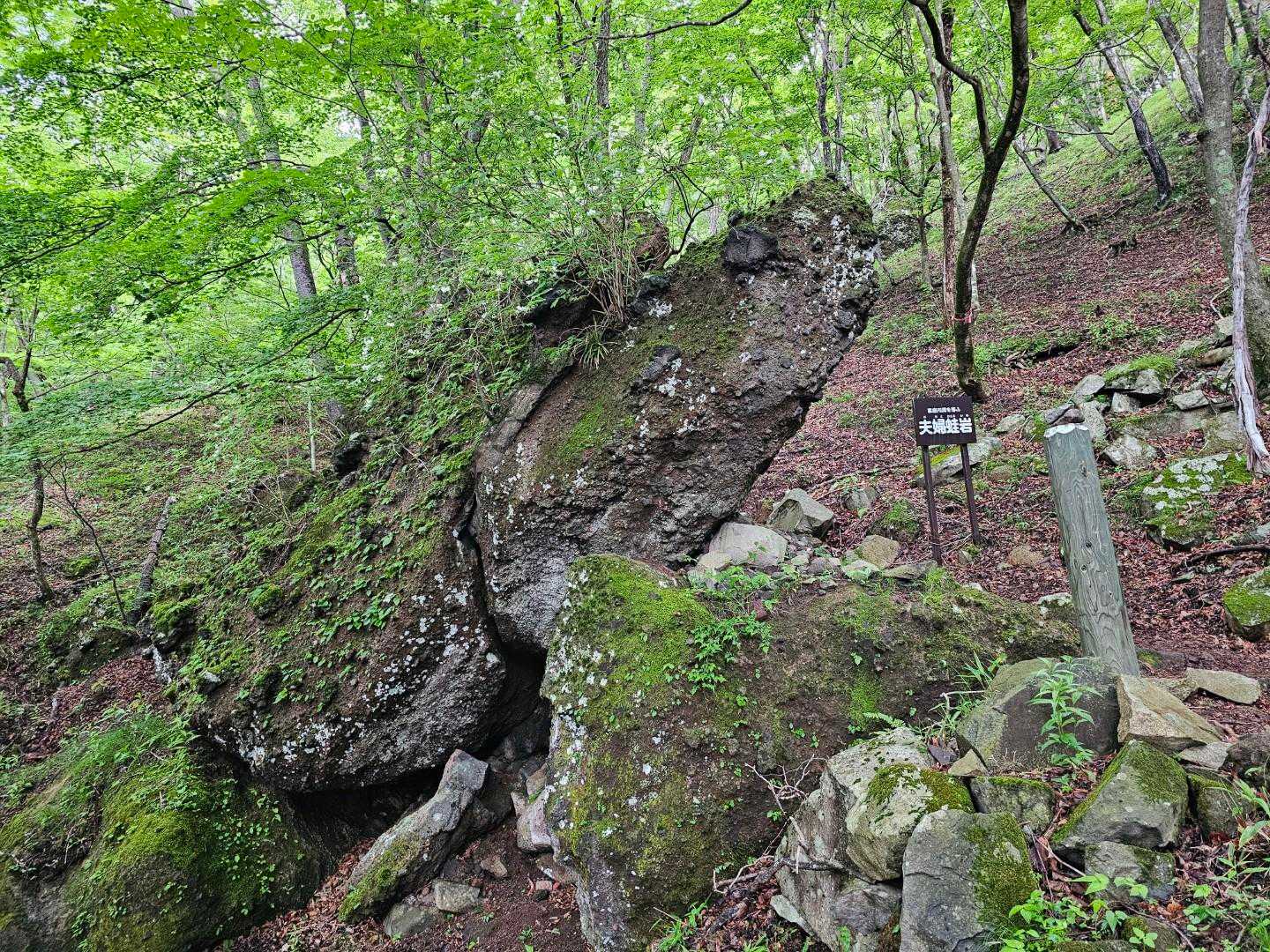 皇海山登山口-庚申山 往復コースの写真