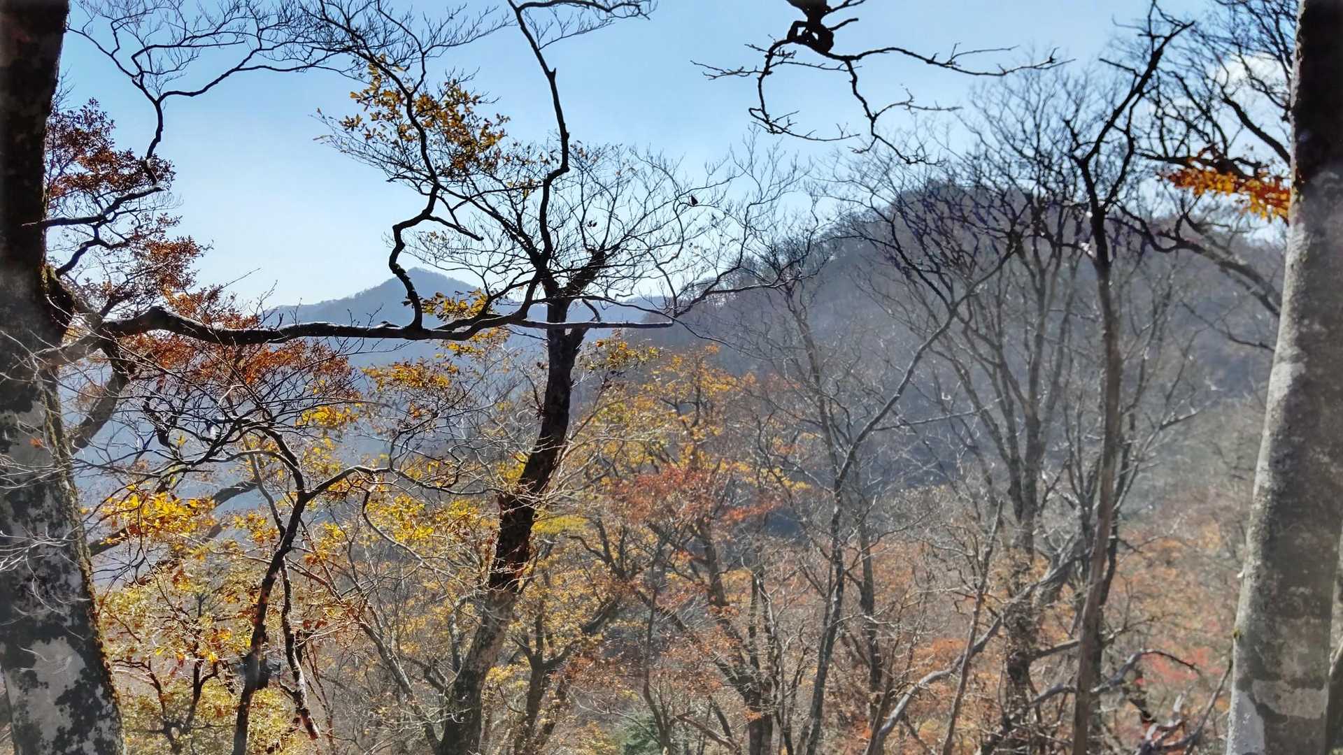 高塚山方面の稜線
ピークがいくつもあって
行きも帰りも楽させてくれません