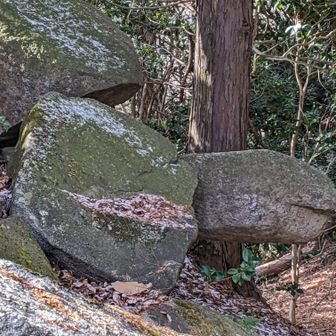 麓の光源寺さんからスタート。赤テープや案内板をたどって上ると山頂下に出ました。これは亀岩