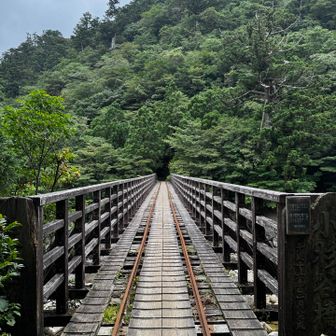 往路は大混雑なので帰路で撮影がおすすめ