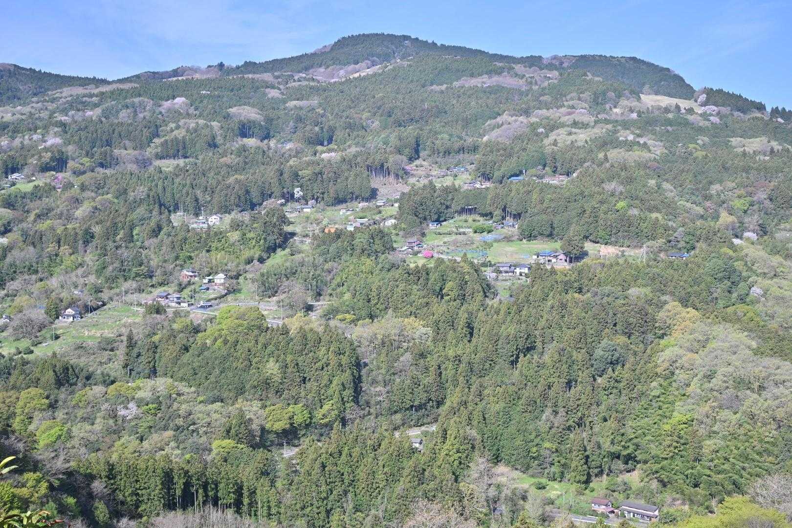 美しい里山
秩父ってのどかなところなんだなぁ