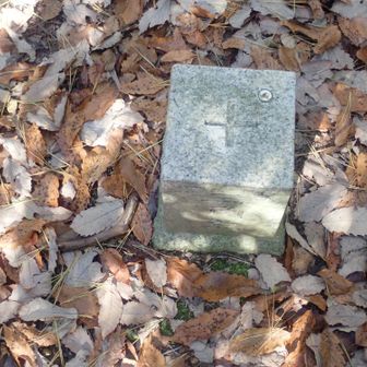 貴船山/二等三角点山頂