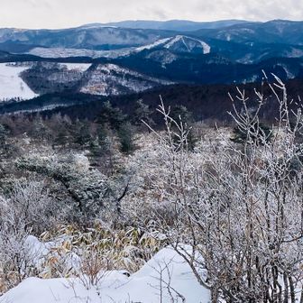 山々もありがとう✨