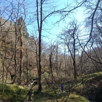 左門岳 そろそろお散歩も終わりにして帰っていかないと・・。