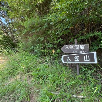 沢入登山口から。