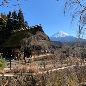 昔ながらの風景、インバウンドばかり😅