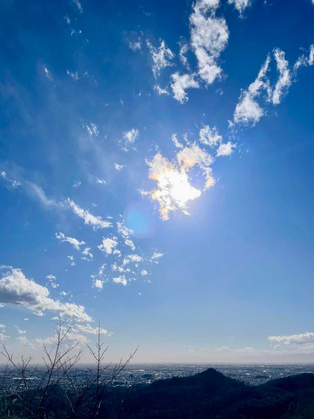 唐沢山 往復コースの写真