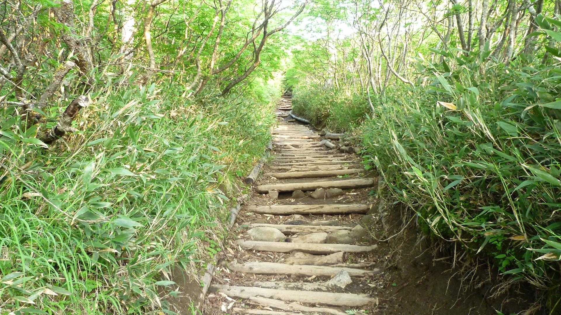 赤岳・白雲岳往復 | 夏の「ゼブラ雪渓」と高山植物の楽園を目指しての写真