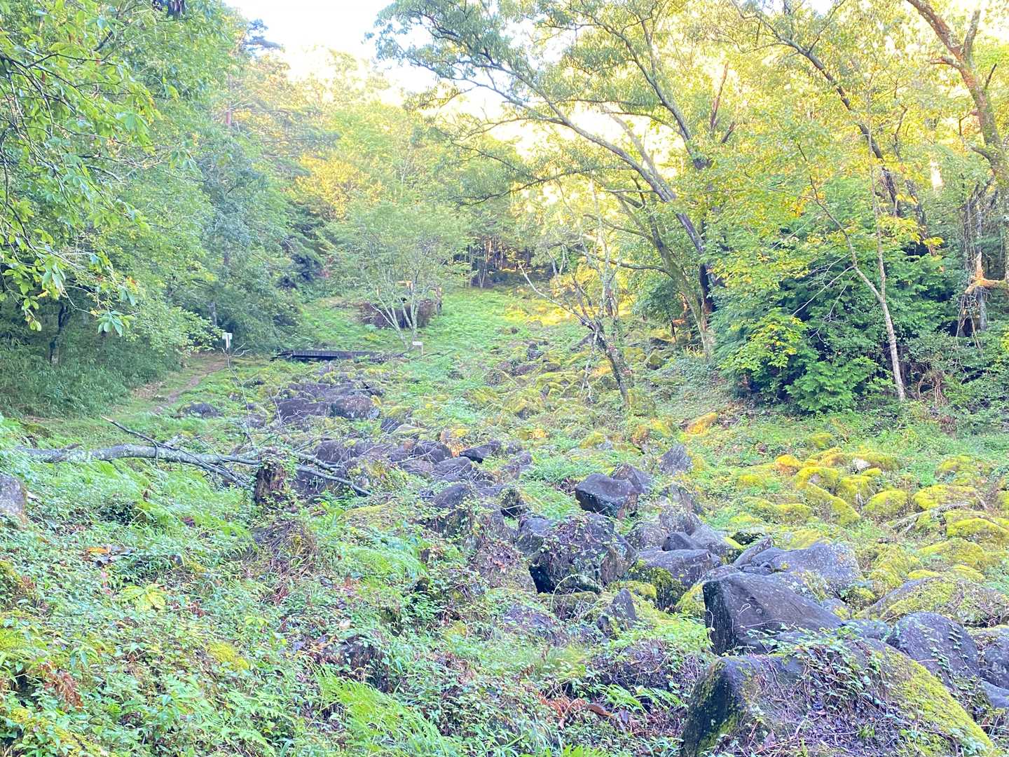黒色の岩、マダマダ続きます