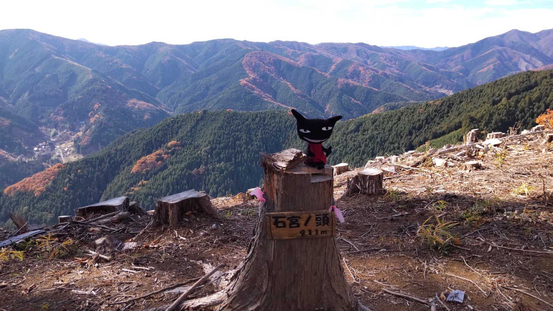笹尾根見えたーいつか行くぞ！待っとけ！