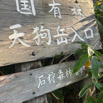 楽しみ〜😆