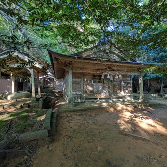 この神社の階段が半端なく滑ります😭