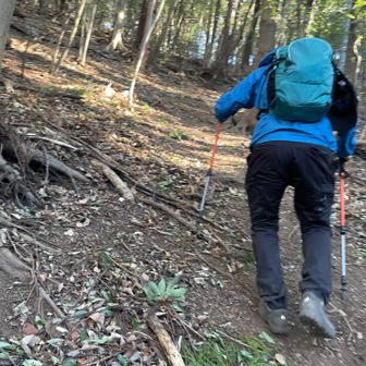 最後にまさかのここ1番の急登🤣🤣🤣