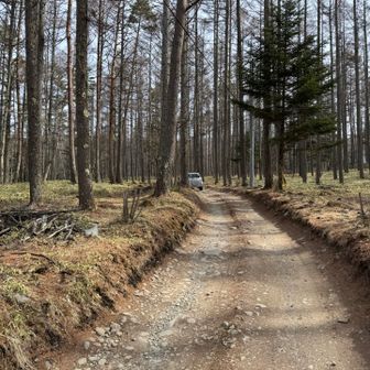 赤岳山荘〜美濃戸口って地味に辛すぎ。痛い。