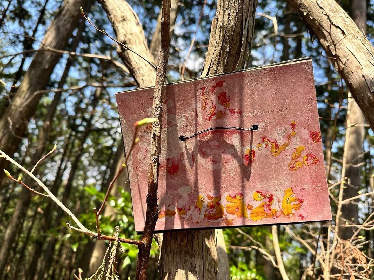登りきった先にあった看板がねっ
読めんかった🤣

この辺やろっ♡
ぅん今日からここ山頂‼️