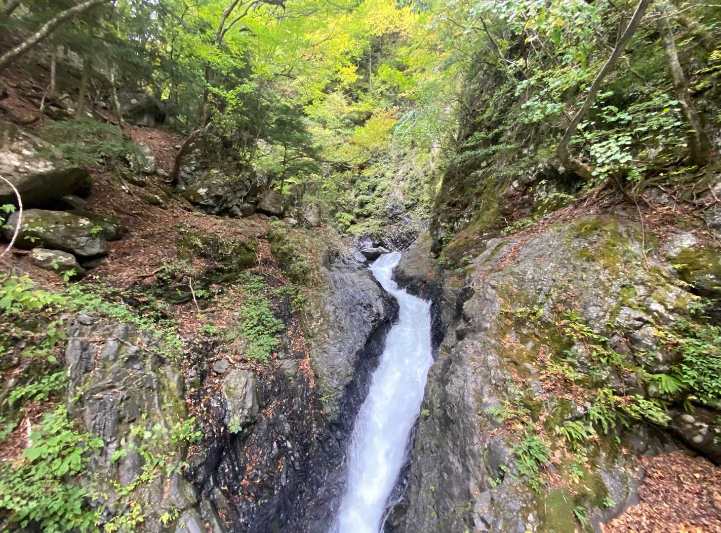 この時期にしては水量が多いと感じました
轟音を立てて流れる立派な渓谷