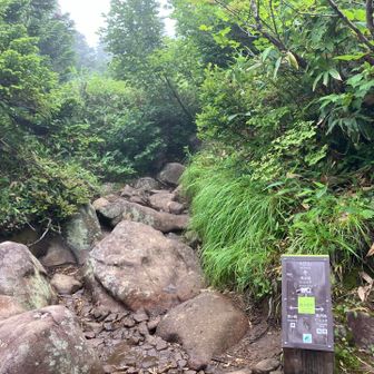 富士見台の分岐、黒沢池ヒュッテへ向かいます。