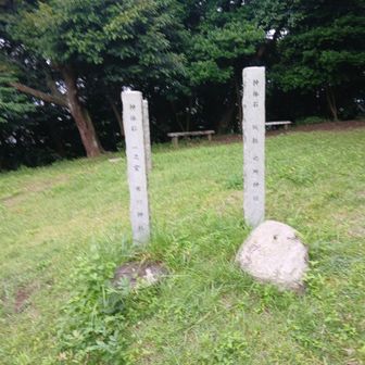 神揃山　いろんな神社の神体石が並んでいる